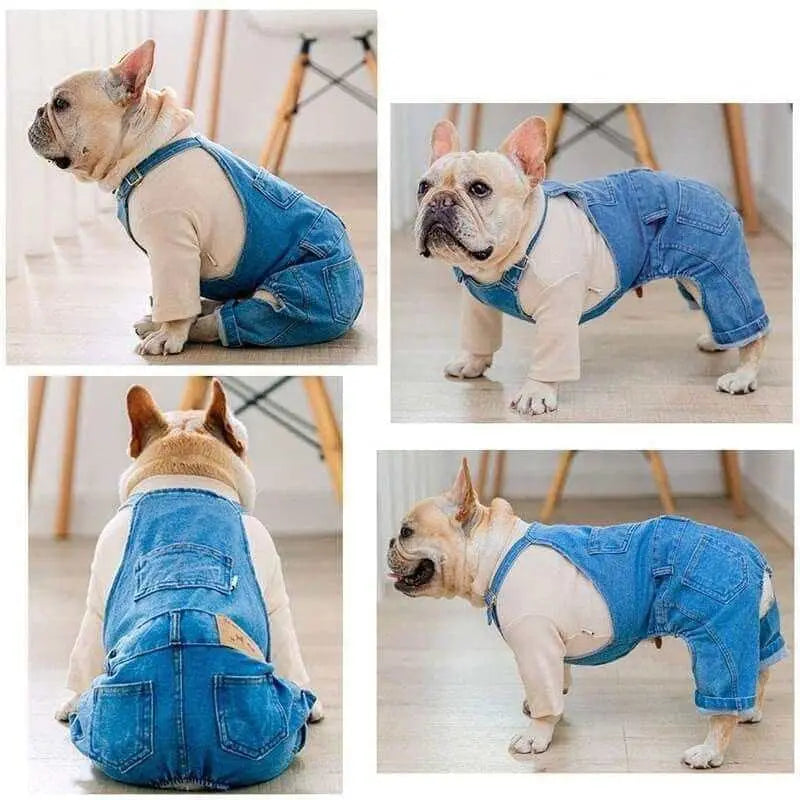 Blue Jeans Dog Overalls - Kuzcart
