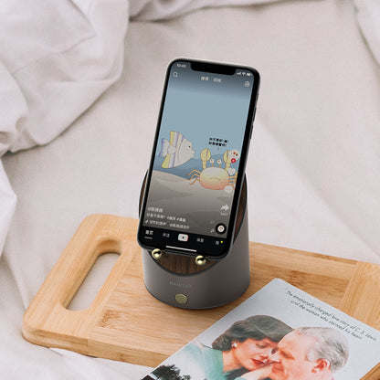 Wireless Induction Speaker and Phone Stand