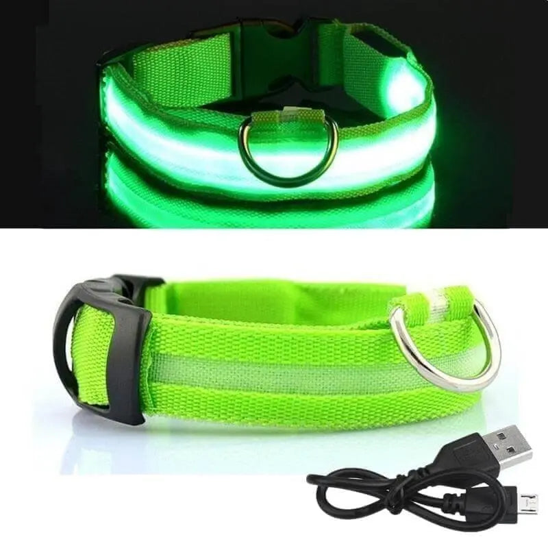 Adjustable LED Glowing Pet Collar - Kuzcart