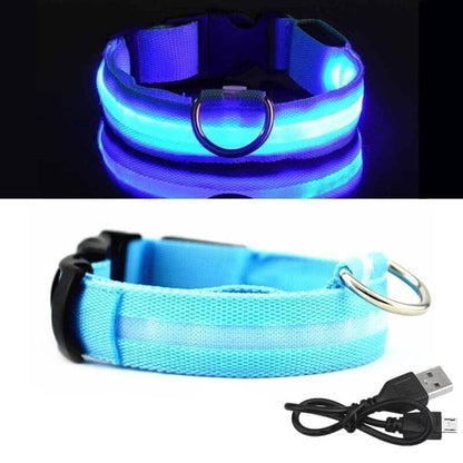 Adjustable LED Glowing Pet Collar - Kuzcart